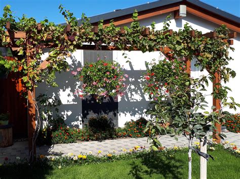 štruktúra pergoly s viničom