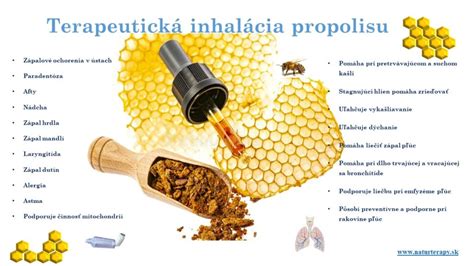 Ilustrácia sibírskych bylín a propolisu