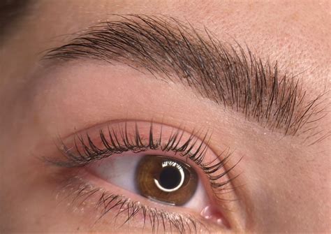 Vývoj tvaru obočia v jednotlivých dekádach