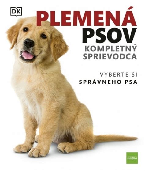 Ilustrácia správneho umývania psa