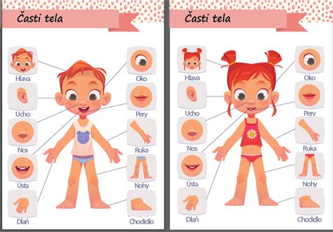 Porovnanie nadstavcov pre rôzne časti tela