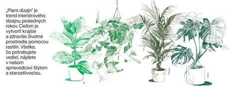 Ilustrácia rastlín pŕhľavy a lopúcha