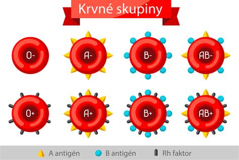Schéma kompatibility holiacich hláv s rôznymi sériami Philips