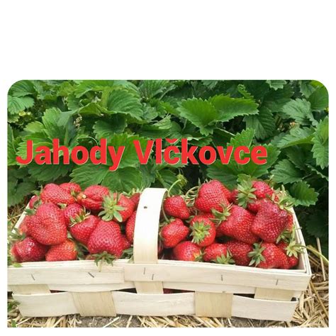 Štruktúra vrstveného účesu