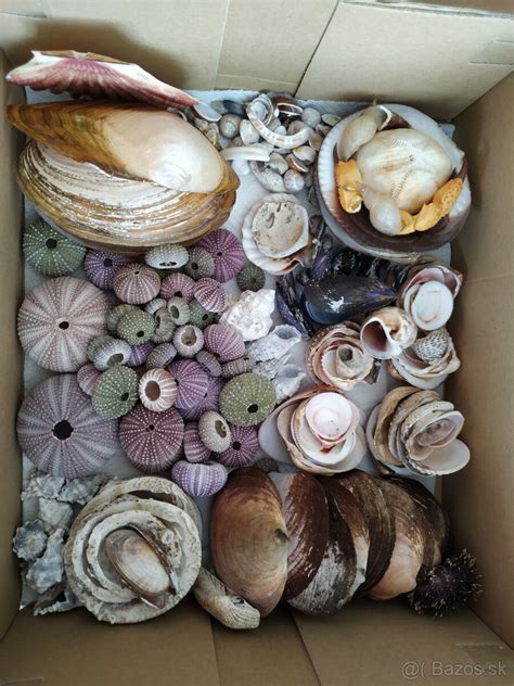 rôzne druhy prútených dekorácií