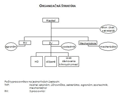 Diagram organizačnej štruktúry spoločnosti