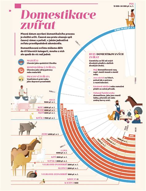 Infografika: Časová náročnosť rôznych účesov