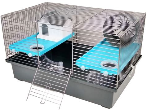 Ilustrácia hlodavca s blchou