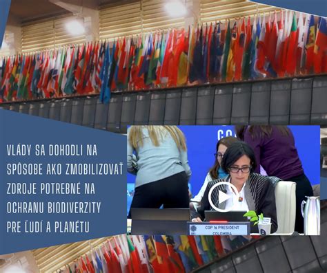 Účastníci konferencie COP 13