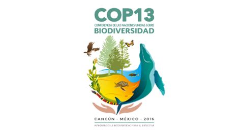 Logo COP 13 CBD