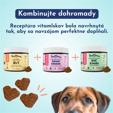 Strava pre zdravú srsť