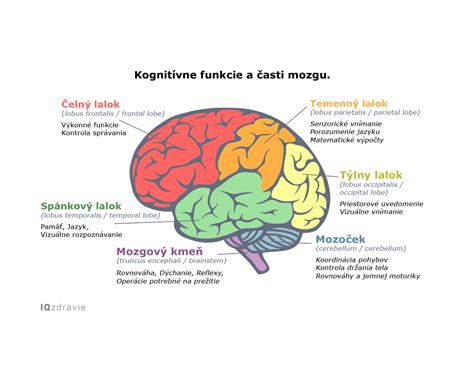 Rôzne typy britiev a ich časti