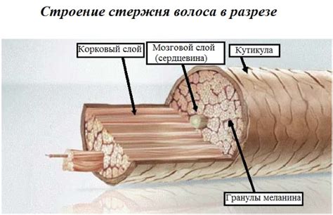 Inšpirácia pre asymetrické strihy
