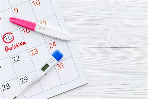 kalendár menštruácie