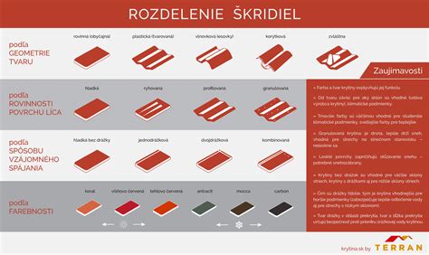 rozdelenie tvárí podľa tvaru