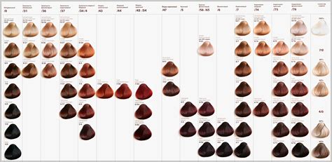 Paleta farieb na vlasy