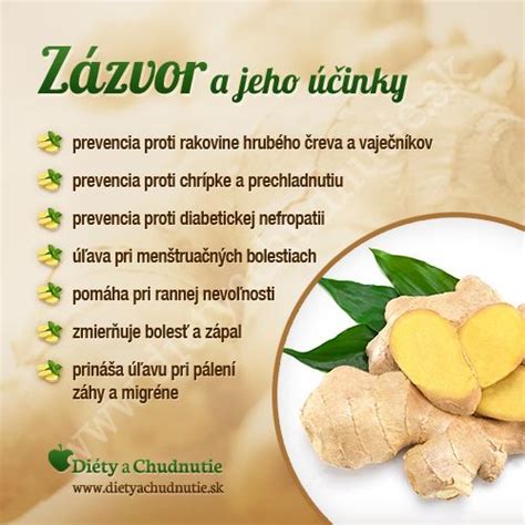 Infografika: Zloženie šampónu a jeho účinky