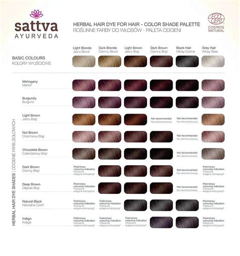 Paleta odtieňov Phibrows Henna