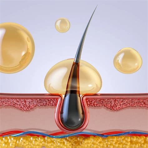 Schéma pôsobenia pro-keratínu vo vlasoch