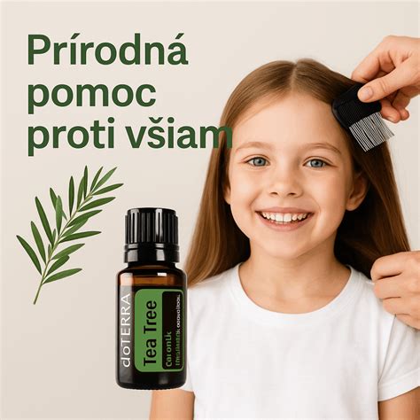 Vlasy s všami a čajovníkový olej