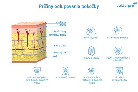 infografika znázorňujúca príčiny a riešenia svrbenia pokožky hlavy u detí