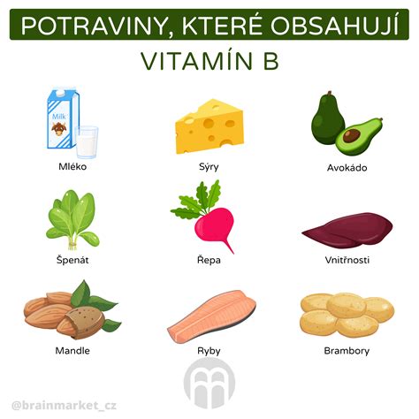 infografika zložiek: chinín, plesnivec, kofeín a vitamíny B