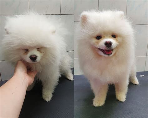 Spokojný zákazník v kaderníctve