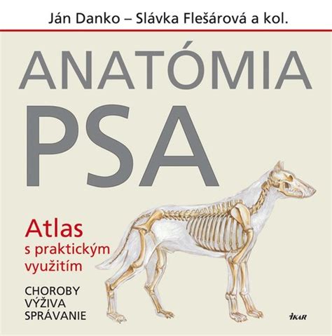 Anatómia obličky psa