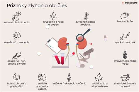 Bežné príznaky zlyhania obličiek u psa