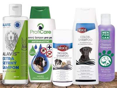 Infografika: Ako vybrať šampón pre psa