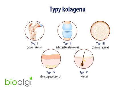 infografika porovnávajúca rôzne typy depilačných krémov