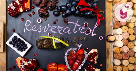 Štruktúra ovseného zrna a jeho prospešné zložky