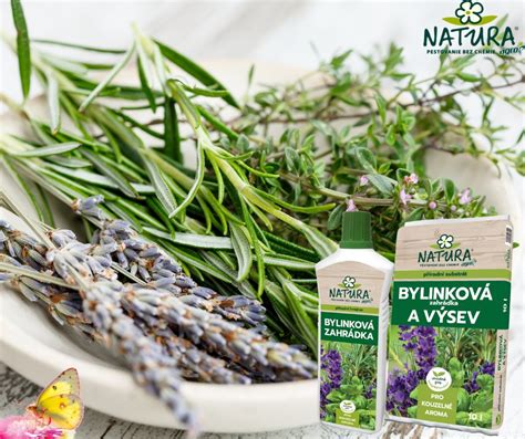 Zloženie prírodných byliniek v sibírskych šampónoch