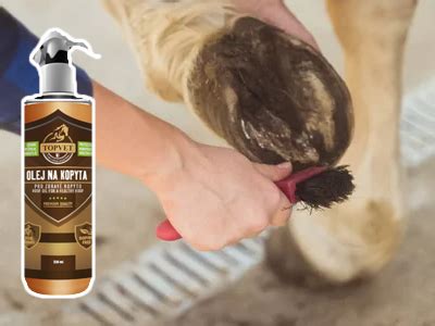 Nástroje na čistenie konských kopýt