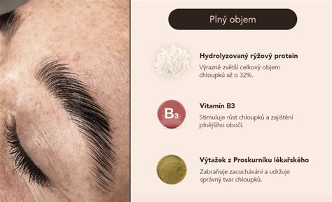 ilustrácia hustého a upraveného obočia