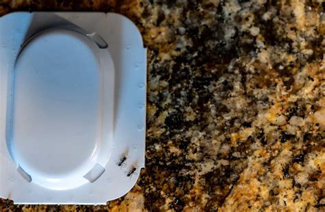 Porovnanie rôznych druhov štetiek na holenie