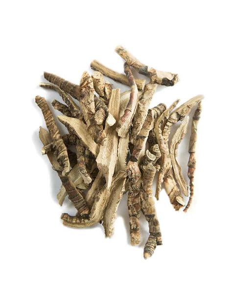 Detailný záber na bylinné extrakty a koreň puškvorca v starostlivosti o vlasy