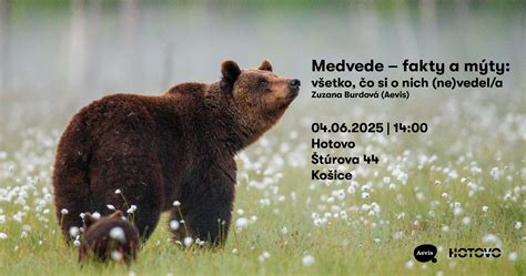 Mýty a fakty o dredoch