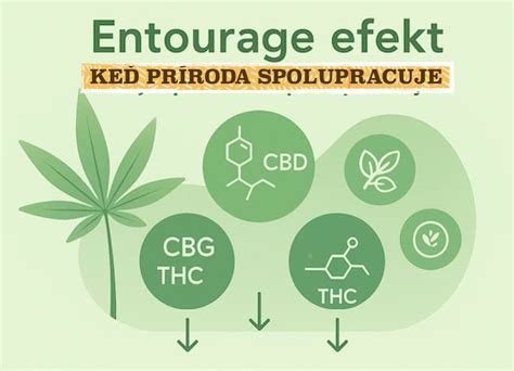 Škála konopných produktov