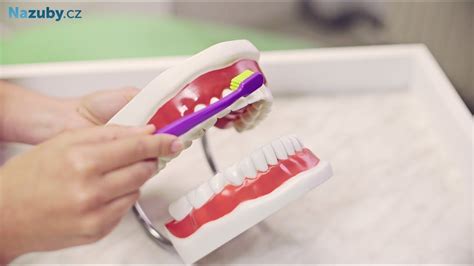 Ilustrácia dentálnej hygieny - čistenie zubov