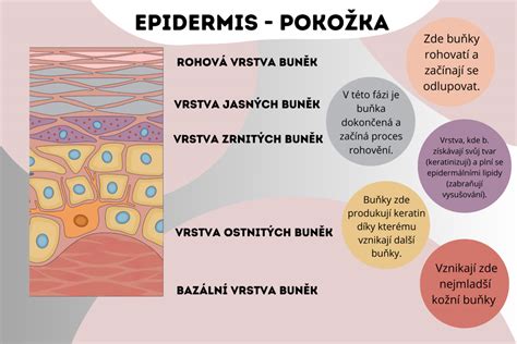 ilustrácia hladkej pokožky po epilácii