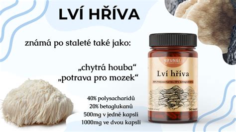 Přidávání hřívy