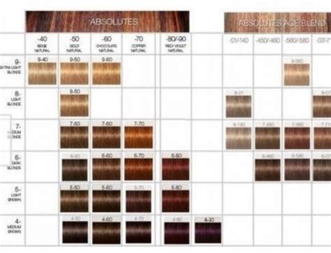 Paleta farieb tónovacích šampónov Schwarzkopf Palette