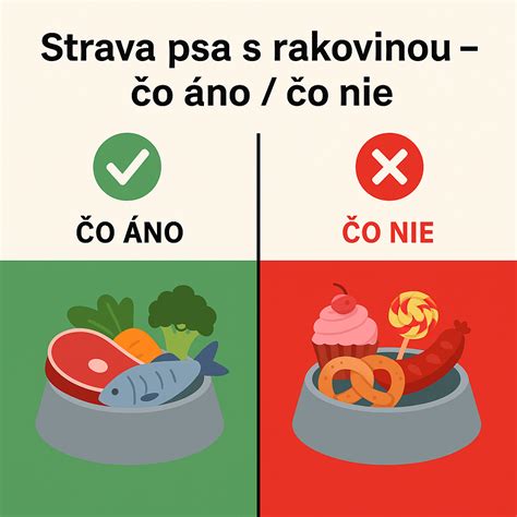 porovnanie produktov na vlasy: čo áno a čo nie pri riedkych vlasoch