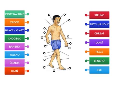Porovnanie režimov epilácie pre rôzne časti tela