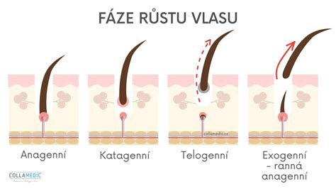 Schéma pôsobenia laserového lúča na vlasový folikul