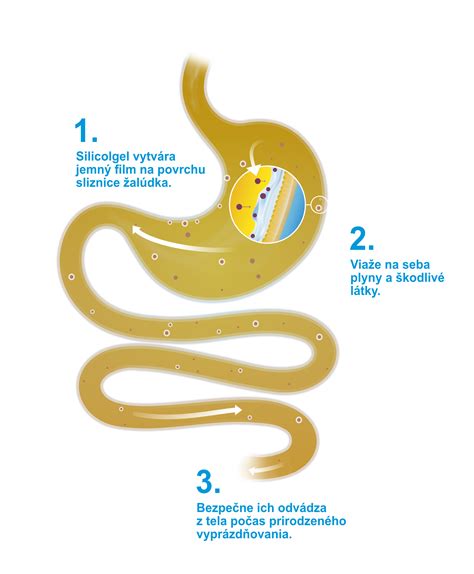 infografika: Zloženie arganového šampónu a jeho benefity