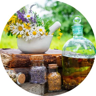 zložky prírodnej kozmetiky a bylinky