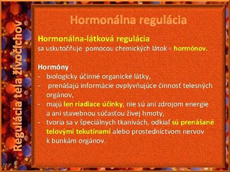 hormonálna regulácia a tvorba androgénov