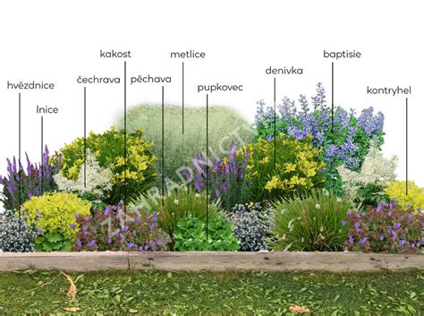 Záhon s kavyľom perovitým